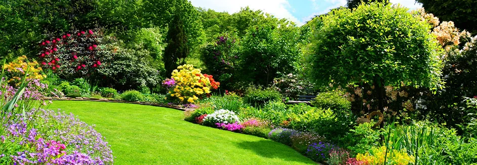 Bunter Garten mit Blumen und Rasen